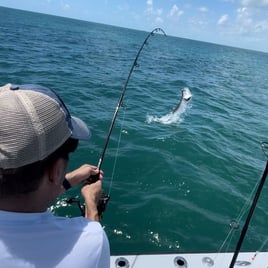 Tarpon and Snook Trip