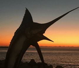 Swordfish Fishing in Islamorada, Florida