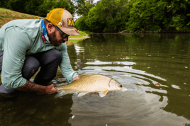 Carp On The Fly - Austin, TX