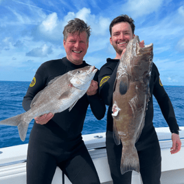 Reef and Wreck Freedive Spearfishing