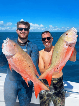 Reef Fishing Charter