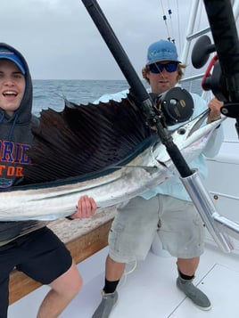 Sailfish Fishing in Key Largo, Florida