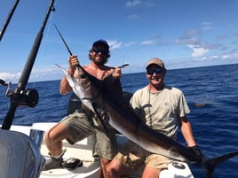 Sailfish Fishing in Key Largo, Florida