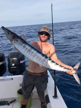 Wahoo Fishing in Key Largo, Florida