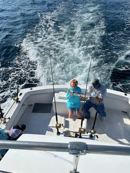 Full Day Offshore - 45' Hatteras