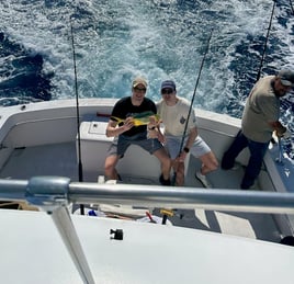 Full Day Offshore - 45' Hatteras