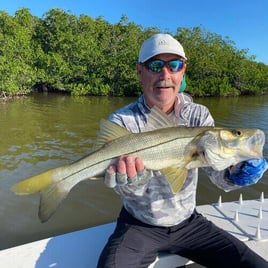 Snook Fishing in Islamorada, Florida