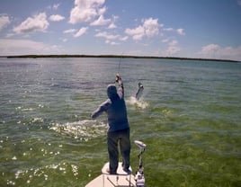 Islamorada Fly Fishing the Flats