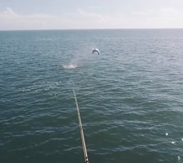 Islamorada Fly Fishing the Flats