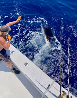 Sailfish Fishing in Marathon, Florida