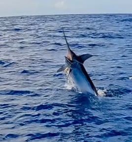 Offshore trolling