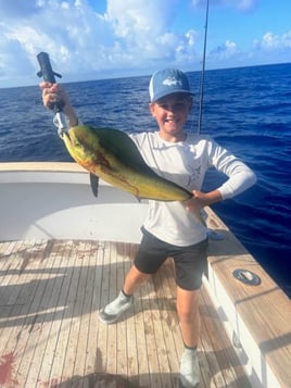 Mahi Mahi Fishing in Marathon, Florida