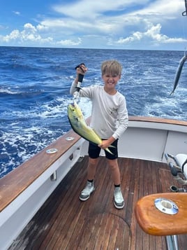 Mahi Mahi Fishing in Marathon, Florida