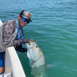 Inshore Bay and Flats Fishing