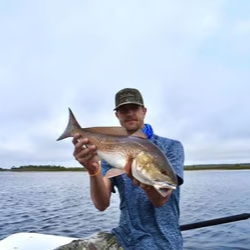 Inshore Bay and Flats Fishing