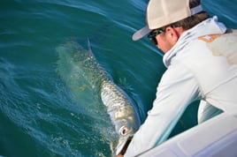 Inshore Bay and Flats Fishing