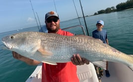 Anna Maria Island Inshore Trip