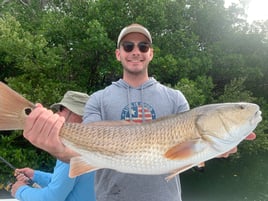 Anna Maria Island Inshore Trip