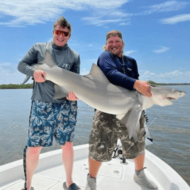 Bull Shark Fishing in Naples, Florida