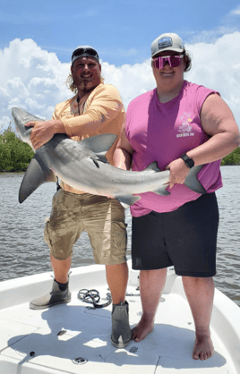 Bull Shark Fishing in Naples, Florida