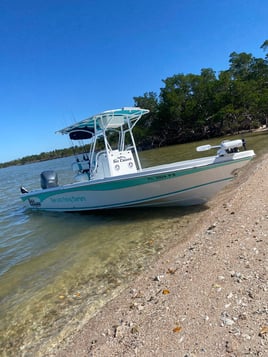 Shark Trip - 26' Sea Chaser