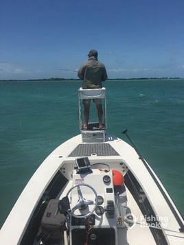 Bay Fishing with Silverking Charters - 22' Pathfinder