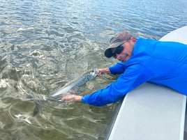 Tarpon Fishing in Cudjoe Key, Florida