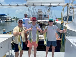 Mahi Mahi Fishing in Islamorada, Florida