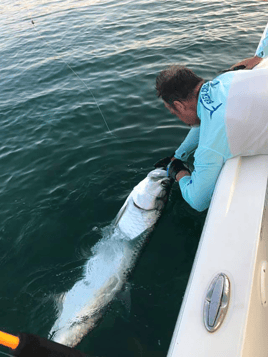 Chasing Tarpon