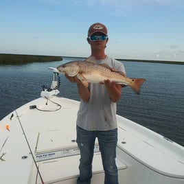 Redfish Fishing in Saint Bernard, Louisiana