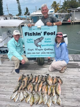 Mangrove Snapper, Scup, Yellowtail Snapper Fishing in Marathon, Florida