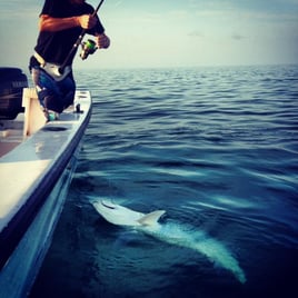 Marathon Tarpon Trip