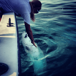 Marathon Tarpon Trip