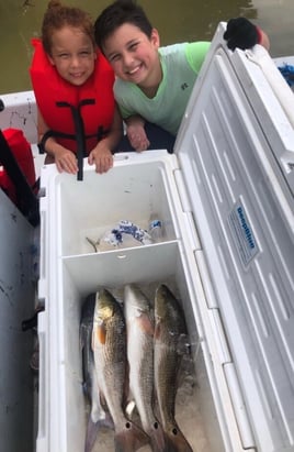 Full Day Fishing Trip - 25' Dargle