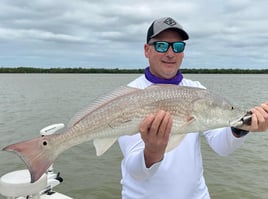 Redfish Fishing in Key Largo, Florida