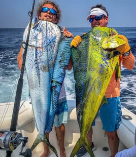 Mahi Mahi Fishing in Puerto Quetzal, Guatemala