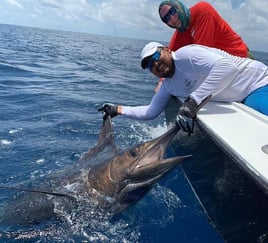 Sailfish Fishing in Puerto Quetzal, Guatemala