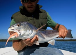 Chasing Fins on the Coastal Bend