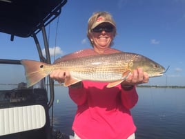 Chasing Fins on the Coastal Bend