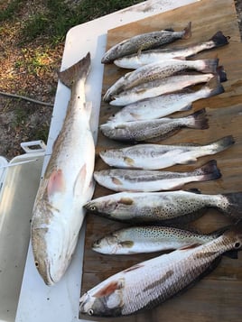 Redfish, Speckled Trout Fishing in Aransas Pass, Texas