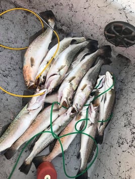 Speckled Trout Fishing in Aransas Pass, Texas