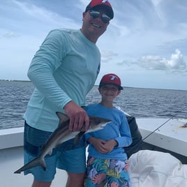 Blacktip Shark Fishing in Cape Coral, Florida