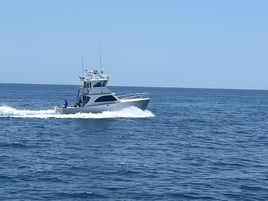 Red Snapper Trip - 40' Infinity