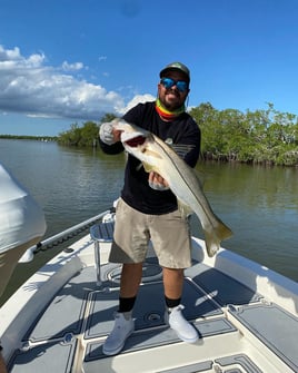 Snook Fishing in Key Largo, Florida