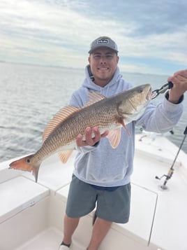 Redfish Fishing in Sarasota, Florida