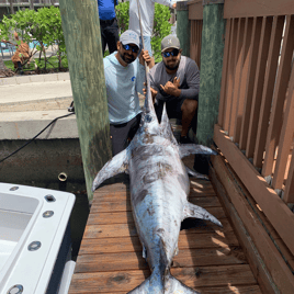 Day or Night Swordfish Trip