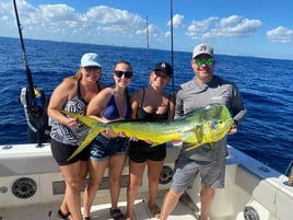 Mahi Mahi Fishing in Fort Lauderdale, Florida