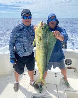 Mahi Mahi Fishing in Fort Lauderdale, Florida