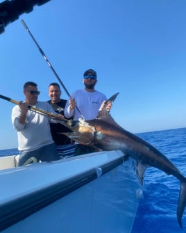 Swordfish Fishing in Fort Lauderdale, Florida