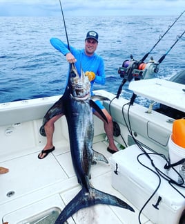 Swordfish Fishing in Fort Lauderdale, Florida